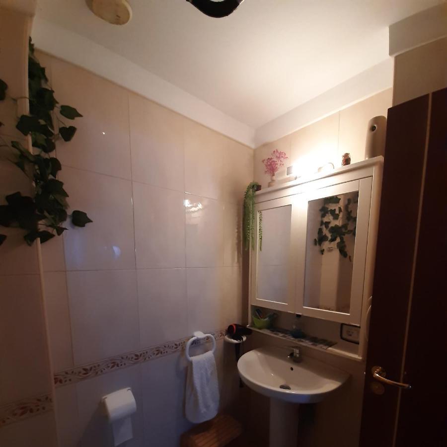 Viajeros Apartment ลาลากูนา ภายนอก รูปภาพ